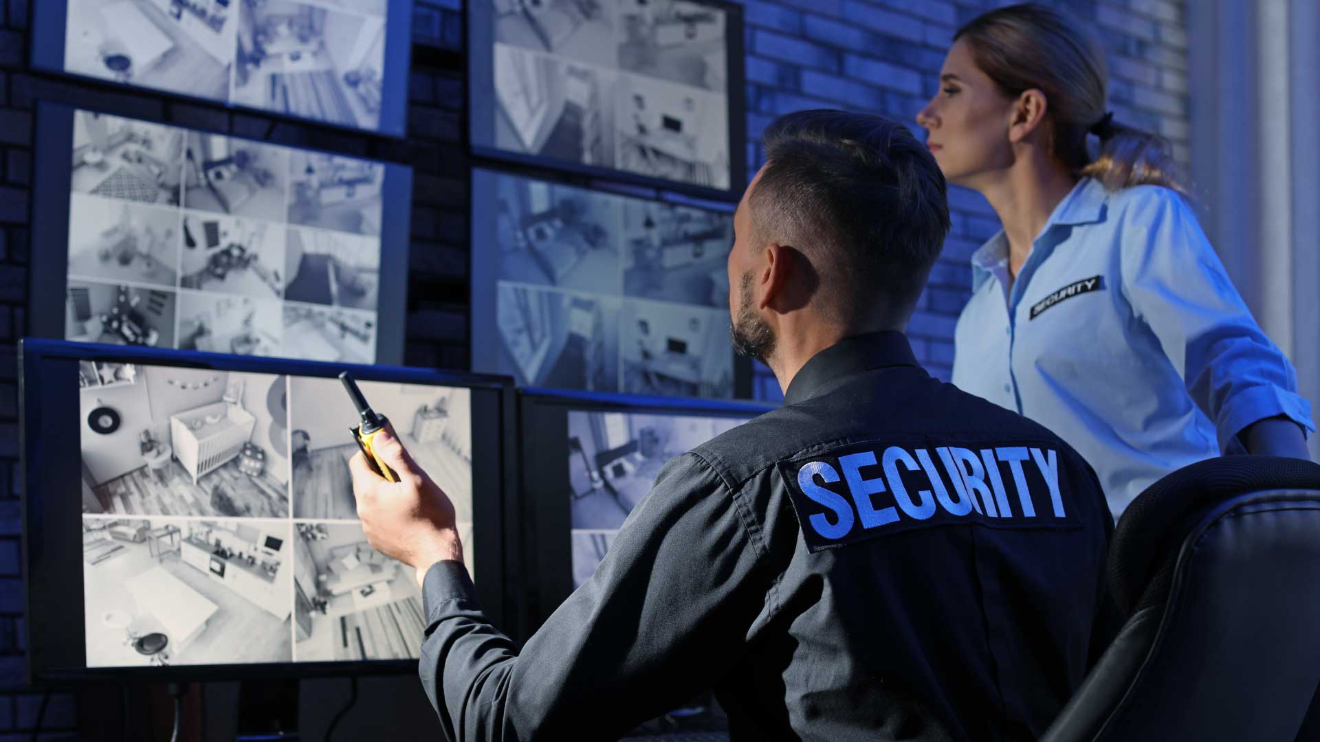 Office and facility security guard